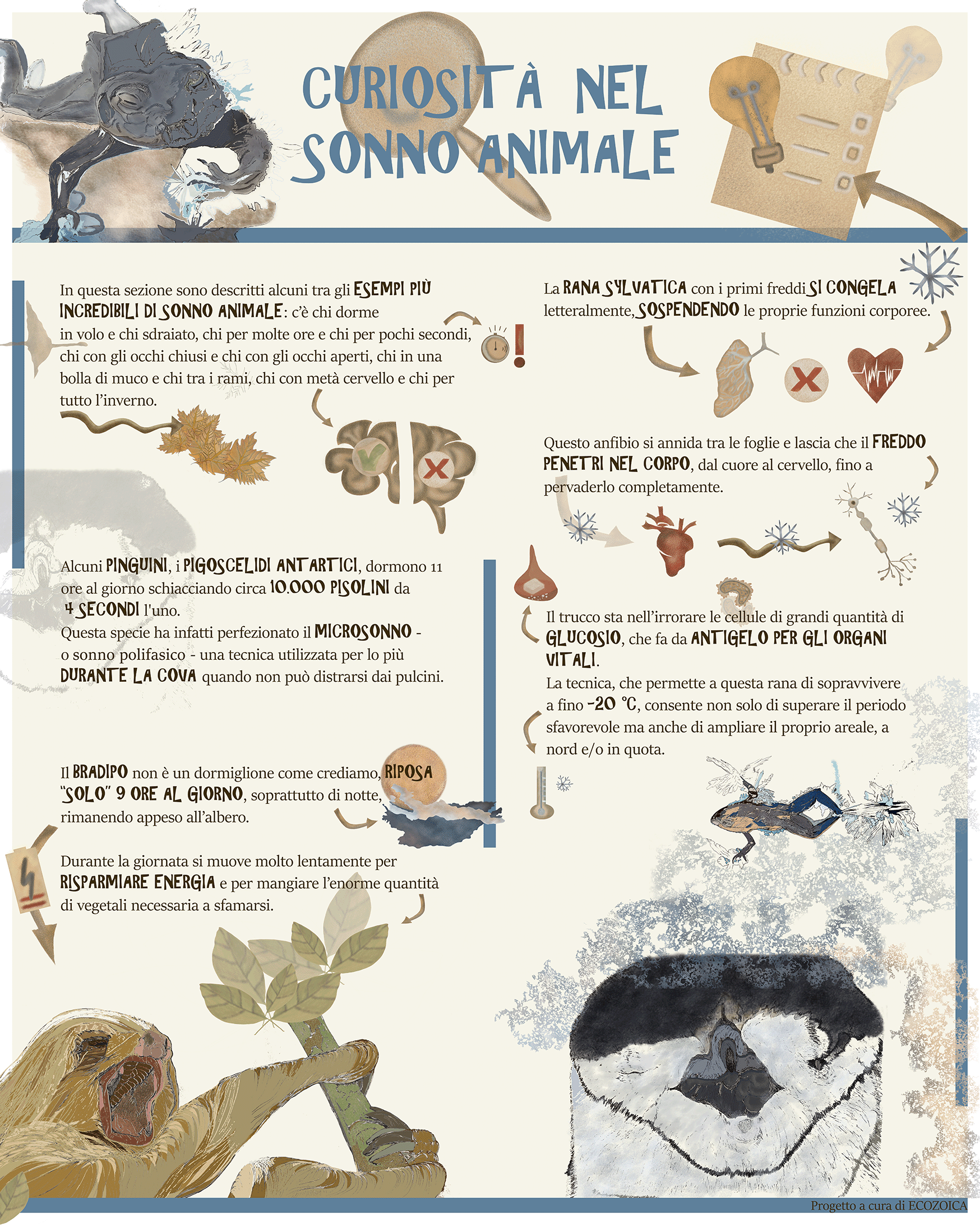 Home un sonno bestia pannello illustrato valentina zocchi illustratrice e visual thinker