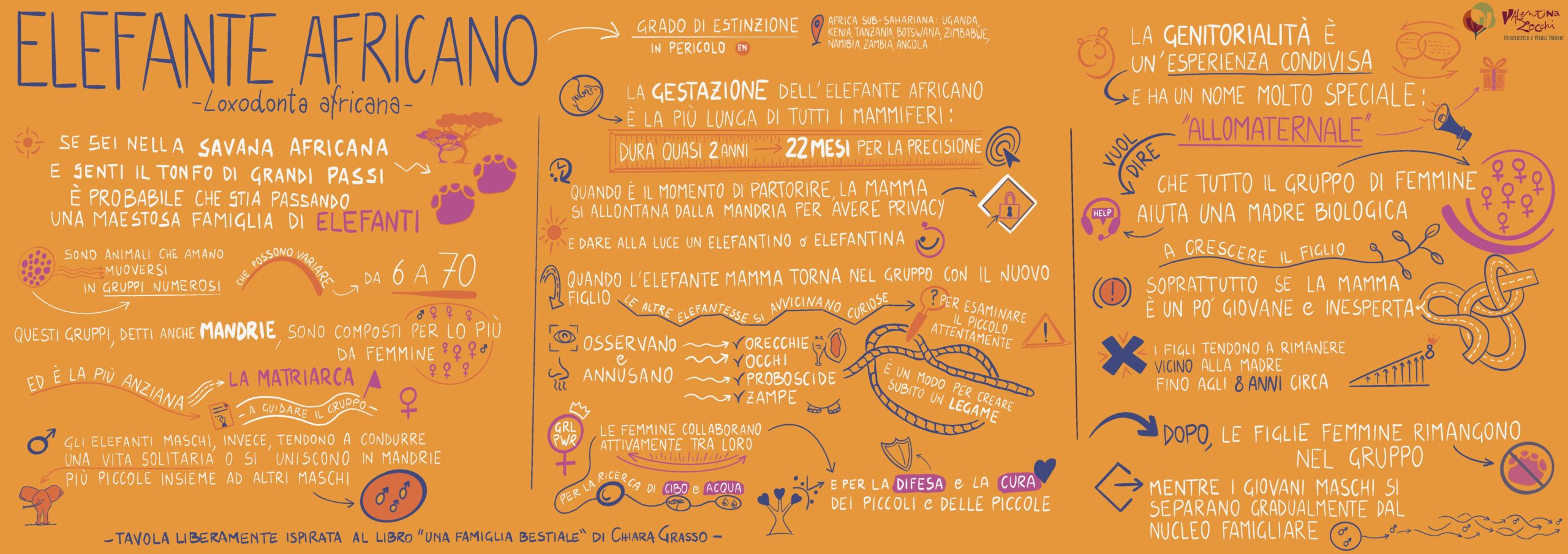 Home una famiglia bestiale • liberamente tratto da. chiara grasso visual thinking di valentina zocchi