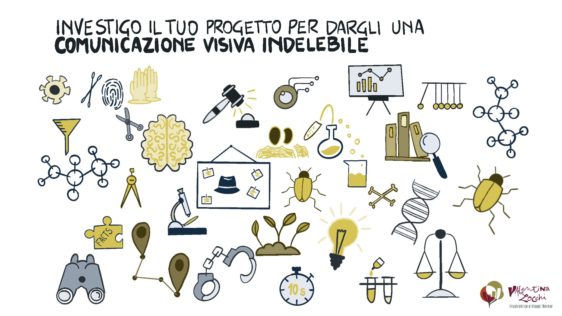valentina zocchi illustrazioni e visual thinking
